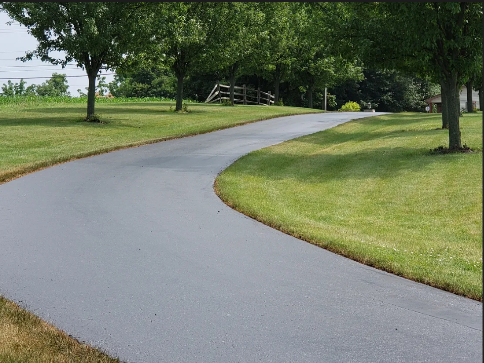 Frank Canepa Driveway 1